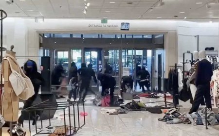 যুক্তরাষ্ট্রের দোকানে ‘গণচুরি’, ১০ কোটি টাকার মালামাল লুট