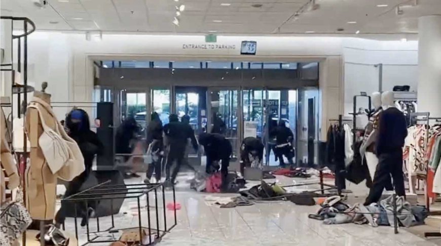 যুক্তরাষ্ট্রের দোকানে ‘গণচুরি’, ১০ কোটি টাকার মালামাল লুট