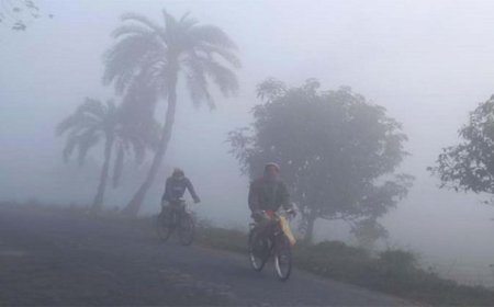 রাতে তাপমাত্রা বেড়ে কমবে শীত