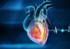 হৃদরোগ নিয়ে জরুরী বার্তা