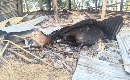 মৌলভীবাজারে জামায়াত কর্মীর গরুর খামারে দুষ্কৃতকারীদের অগ্নিসংযোগ