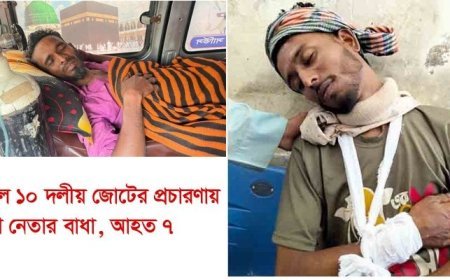 বাহুবলে ১০ দলীয় জোটের প্রচারণায় যুবলীগ নেতার বাধা, আহত ৭