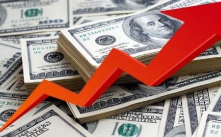 বাংলাদেশের অর্থনীতিতে প্রবাসী আয়ের গুরুত্ব ও প্রবাসী আয় বৃদ্ধিতে আমাদের করণীয়