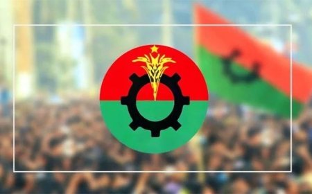 বিজয় দেখছে বিএনপি